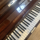 C.Bechstein N12