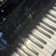 C.Bechstein N12